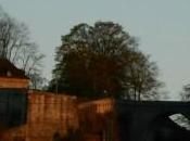 #100happydays #100happyendogirlsdays