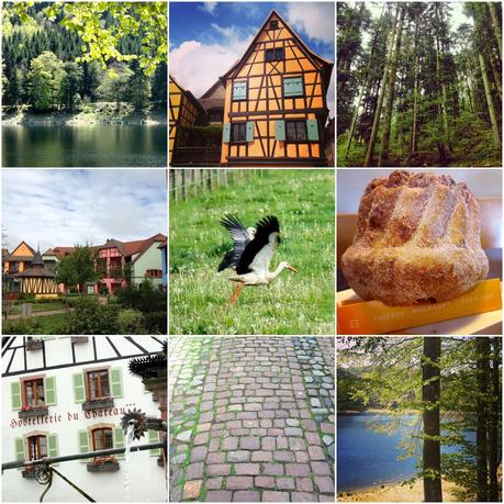 Domaine du Lac à Guebwiller en Alsace : un vrai coup de coeur