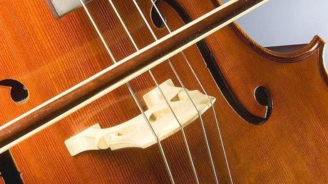 Photo (c) Michael Maggs