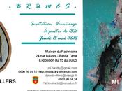 Brumes exposition Mesdame Daniel DEVILLERS BAUDRY