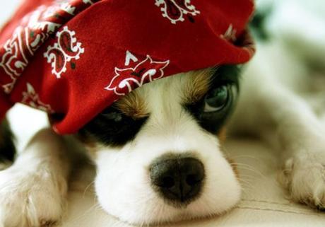 Piratage de données personnelles, respectez ces quelques règles