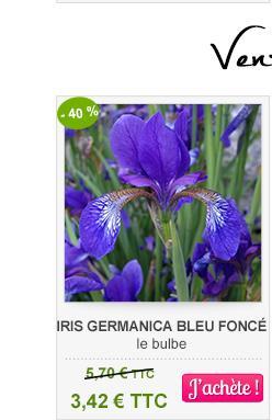 iris bleu foncé -40%