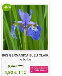 iris bleu clair -40%