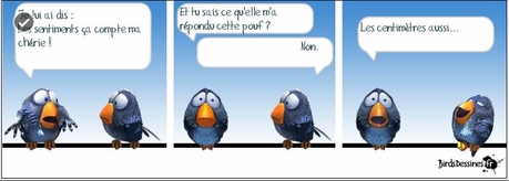 Les mots d'oiseau de la semaine