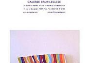 Galerie BRUN LEGLISE exposition Michele ROER PARALLAXE"