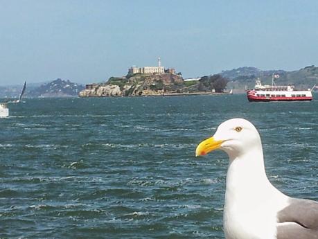 Paroles de la femme-océan, VII