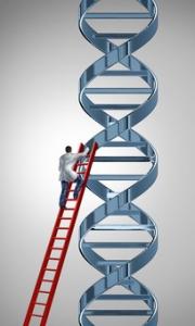 ADN: Des scientifiques créent une nouvelle forme de vie – Nature