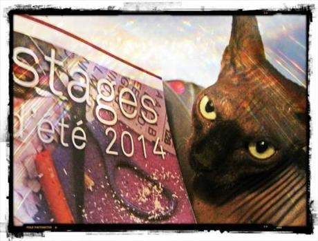 Copie de 100happydays24.jpg