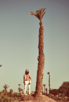 Collective N°3 Urban Outfitters
