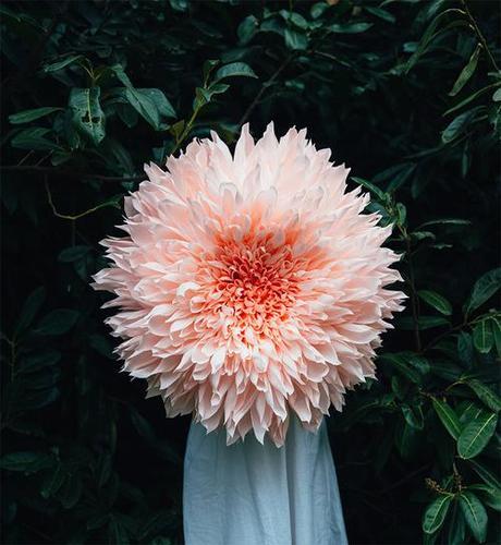 Giant Paper Flowers by Tiffanie Turner