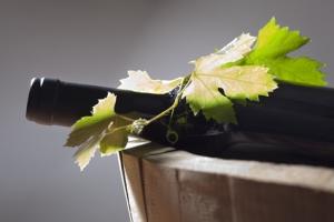 GOÛT: Certaines saveurs du vin échappent à nos 5 sens – Chemical Senses