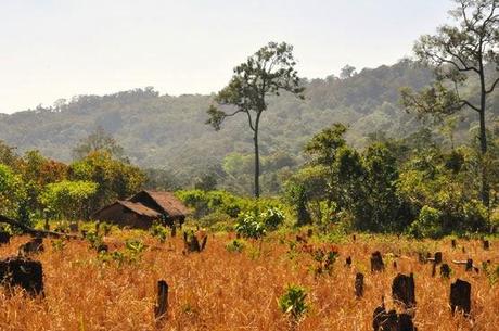 Carte postale : Cambodge en vrac