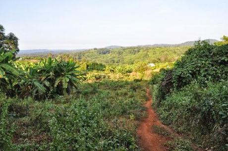 Carte postale : Cambodge en vrac