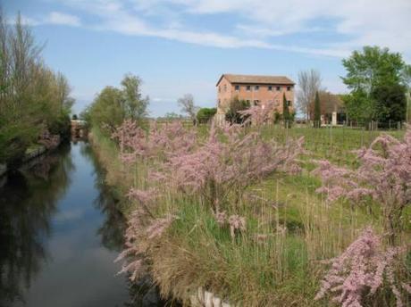 Sant'Erasmo, l'île jardin 