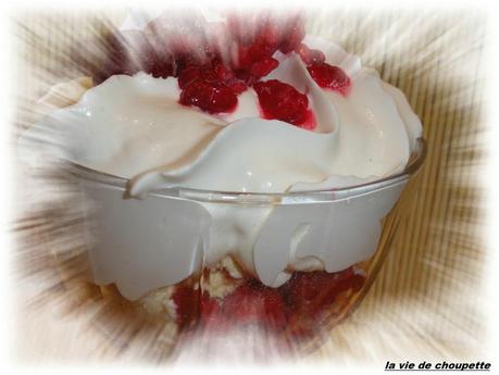 coupe glacée framboises, crème chantilly maison, eau de vie framboises, biscuits roses de Reims-1825