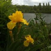 Un petit break, ça ressource !