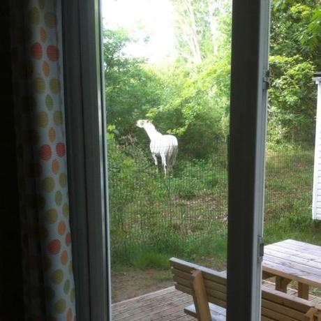 Un petit break, ça ressource !