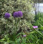 Un petit break, ça ressource !