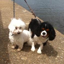 Un petit break, ça ressource !