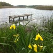 Un petit break, ça ressource !