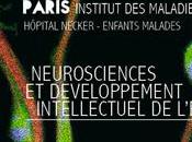 Neurosciences développement intellectuel l’enfant programme Brain Forum