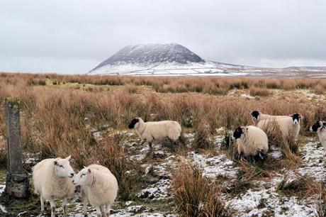 Slemish-Mountain