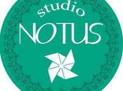 Studio Notus