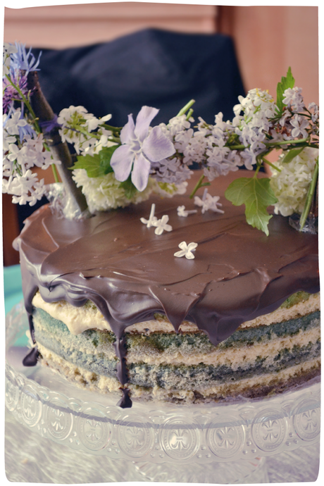gâteaux de printemps, ou gâteaux de pâques : layer cake façon tiramisu et gâteaux jardins. Muffins chocolat, fraises façon carottes