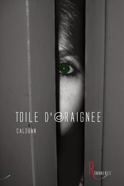 Toile d’@raignée — Calouan