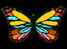 papillon_pt-12.gif