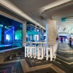 ARCHI : MATISSE BEACH CLUB