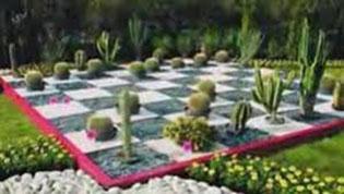 A Nantes* il y a aussi des Stars, les Fleurs ! Unknown