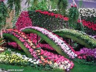 A Nantes* il y a aussi des Stars, les Fleurs ! Unknown-1