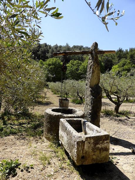 La Provence comme au temps de Pagnol