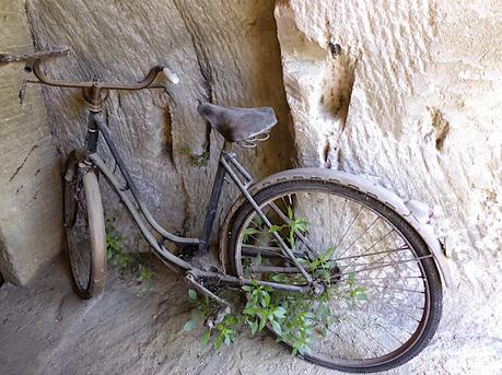 La Provence comme au temps de Pagnol