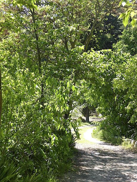 La Provence comme au temps de Pagnol