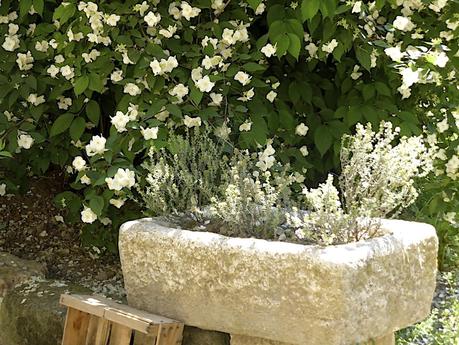 La Provence comme au temps de Pagnol