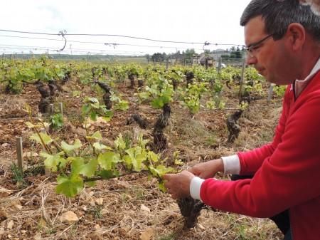 La taille expliquée et illustrée