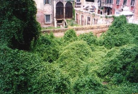 Jardin du Palazzo Soranzo Cappello 