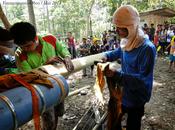 Issan autour Rocket festival 2014