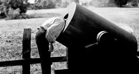 Citation du jour, bonjour !