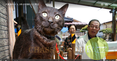 un-chat-retrouve-ses-maitres-3-ans-apres-le-tsunami-japon_buzz