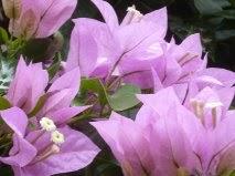 c'est bon pour le moral