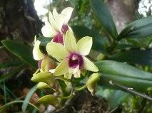 c'est bon pour le moral