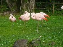 c'est bon pour le moral