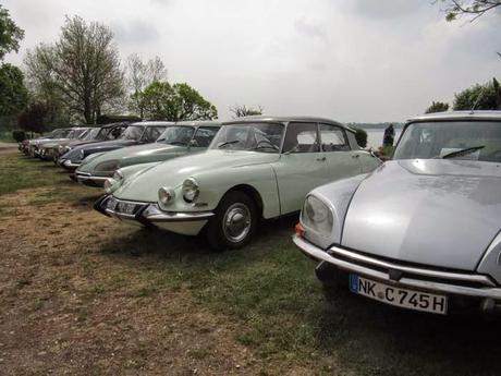 Des chevaux à Lachaussée