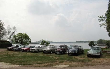 Des chevaux à Lachaussée