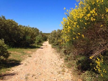 Perdu et en plein vent