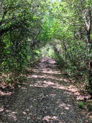 Perdu et en plein vent