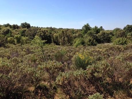 Perdu et en plein vent